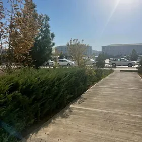 ️GURTLY/POMESENIYA YER