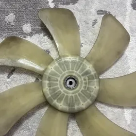 korolla lopus original