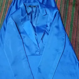 двойка юбка кастюм