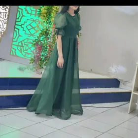 вечерный койнек