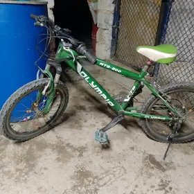 велик в хорошем состоянии