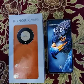 Honor X9b 8/256