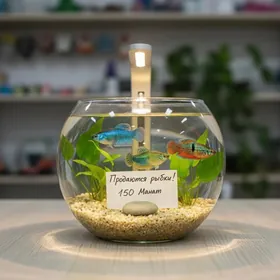 мини аквариум