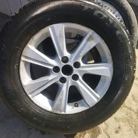 Haylander diska 17 lik