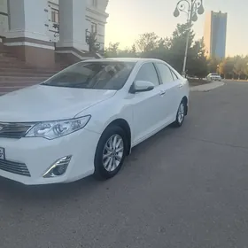 Toyota Camry 2013