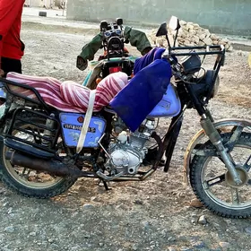 Fekon FK200-14G 2020