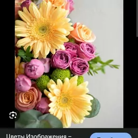 ТРЕБУЕТСЯ ПРОДАВЕЦ-КОНСУЛЬТАНТ