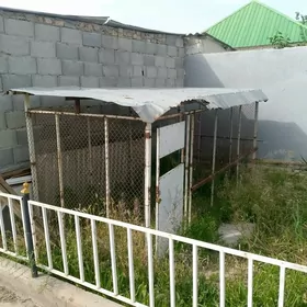 Satlyk Haladynlik Goslar bar