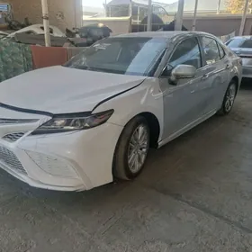 Toyota Camry 2024