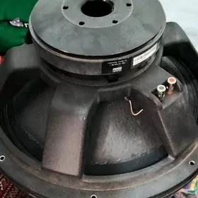 Dap Nisgi Dinamik 18 lik