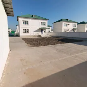 Coganly Arkac kotej...