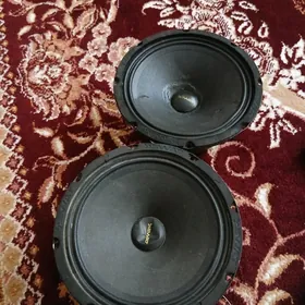 saSwat Rev-65Pro v.2