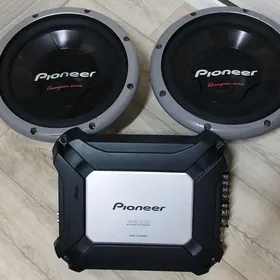 Pioneer Bocka, Usulitel