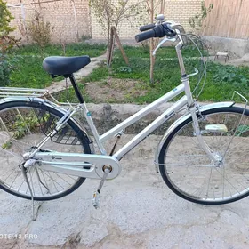 28 йапон 3 скорлы велик