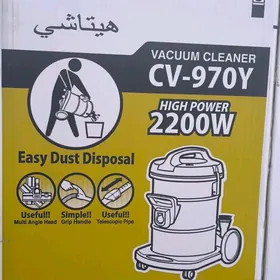 TOZAN SORUJYLARY (PYLESOSLARY)