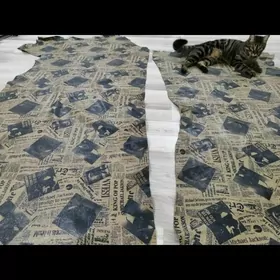 Диван учун кожа Италия