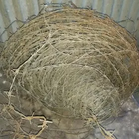 провалка калючка