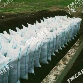 DERS BUTKAMENT MİTİ CAGE