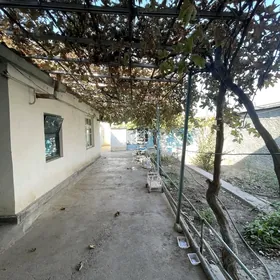 ANNEW PLAN JAY 6,5-SOTOK