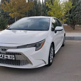 Toyota Corolla 2021