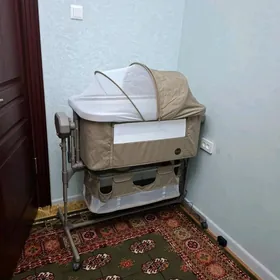 Tokly Çaga Sallançak