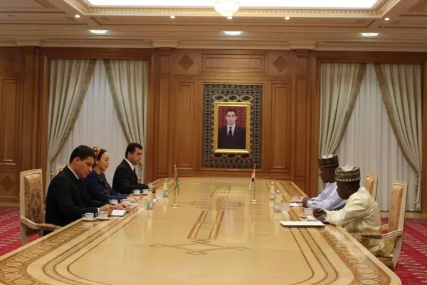 Спикер Меджлиса приняла верительные грамоты посла Нигера