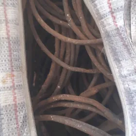 kolca kici110sany,yup,bolberka