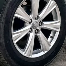 Disga pakeişka goyder