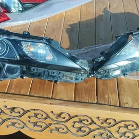 2022 kemri SE onki farasy