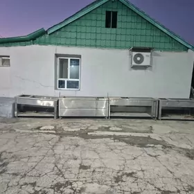 Nahary gyzgyn saklayan polka