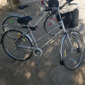 27lik brijstoun3skor