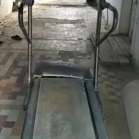 Беговая дорожка.