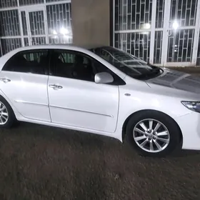 Toyota Corolla 2010