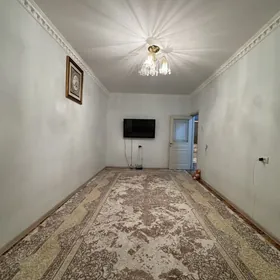 Buzmeyin Gress, 3 kom