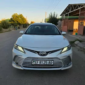 Toyota Camry 2019