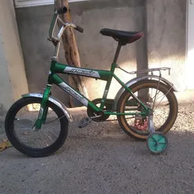 kici caga tigir gyssagly 16lyk