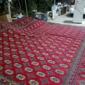 HALY  PALAS SATYN  ALÝA