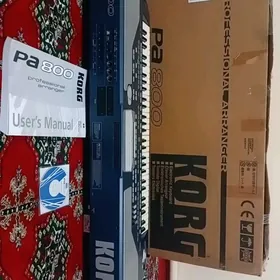 KORG PA 800