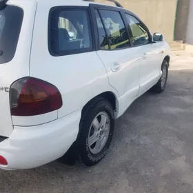 Hyundai Santa Fe 2003