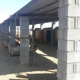 профил днмир шифер