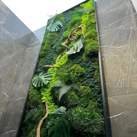 Фитопанно из мха и растений