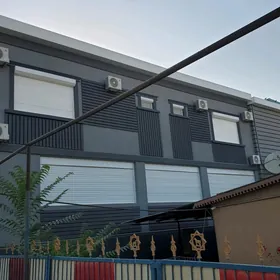 Gala panjur Türkmenistan