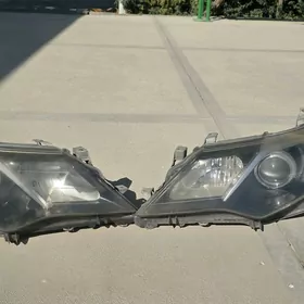 Palta camry on̈ku farasy