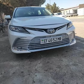 Toyota Camry 2020