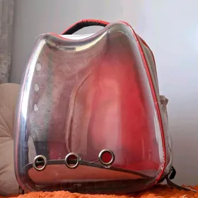 Сумка для котят и собак