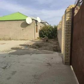 ÂNEW MAGTYMGULY 16 SOTUK