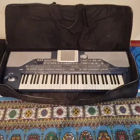 korg PA800