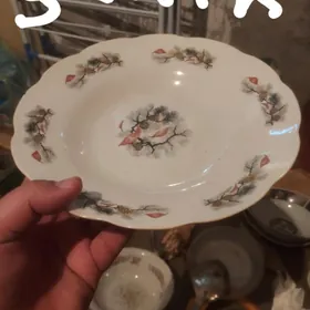 пасуды и бвнки