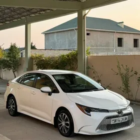 Toyota Corolla 2022