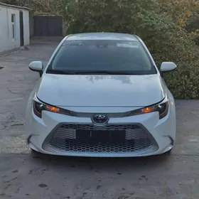 Toyota Corolla 2022